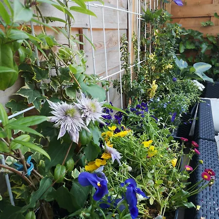 Prázdninový dům Modernes Haus Nahe Zentrum- 10 Min